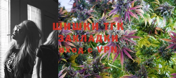 дживик Алзамай
