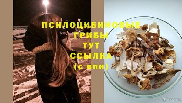 дживик Алзамай