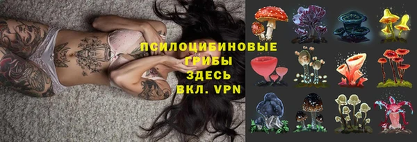 дживик Алзамай